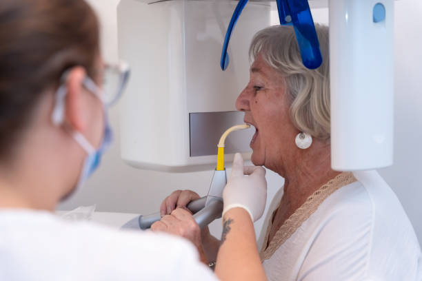 Best Emergency X-Rays and Diagnostics in Bentonville, AR